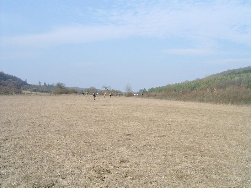 2010.03.20 079.jpg